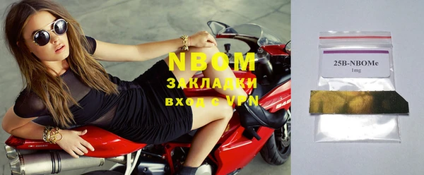 PSILOCYBIN Алзамай
