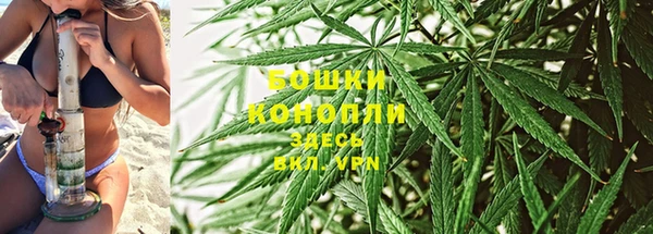 PSILOCYBIN Алзамай