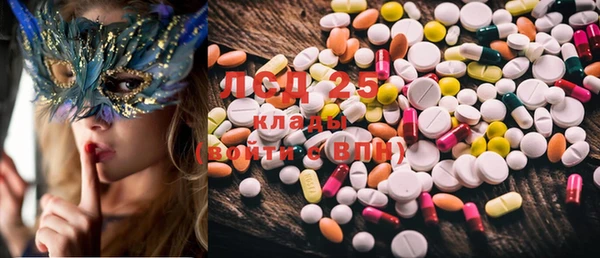 PSILOCYBIN Алзамай