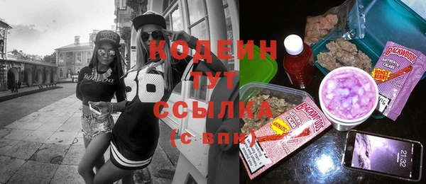 PSILOCYBIN Алзамай