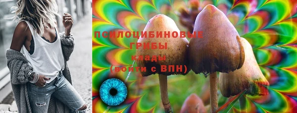 PSILOCYBIN Алзамай