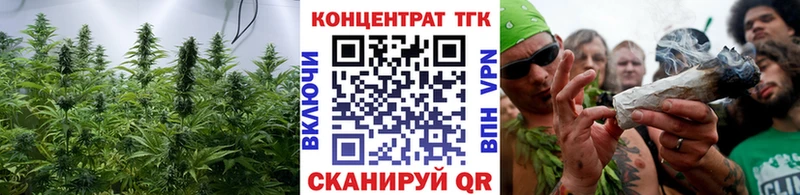 OMG ONION  Осинники  Дистиллят ТГК гашишное масло  наркота 