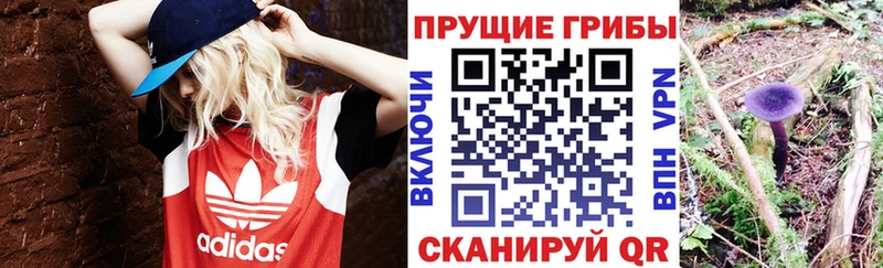 Галлюциногенные грибы GOLDEN TEACHER продажа наркотиков Осинники