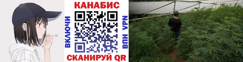 гидра ссылка  Осинники  Шишки марихуана семена  darknet как зайти  закладка 